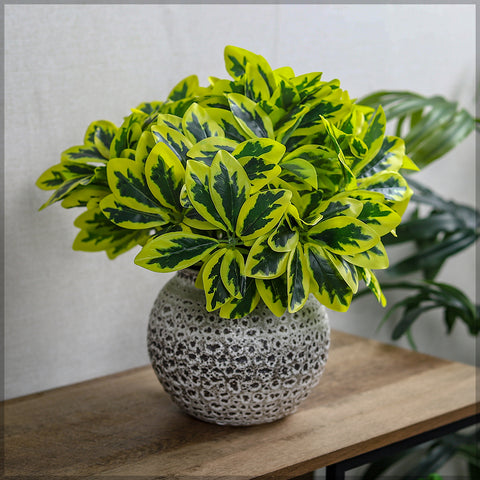 Faux money plant leaves