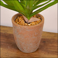 Decorative spiky artificial airplant for homes