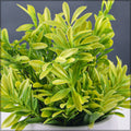 Artificial UV resistant green leaves for garden and patio greenery