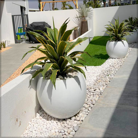 White ceramic round planter for garden