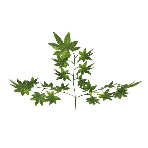 Realistic green Canada leaf