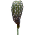 Faux cactus for home decoration