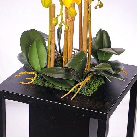 Natural Look Orchid Arrangements Yellow