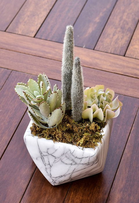 Artificial single cactus plant for indoor spaces