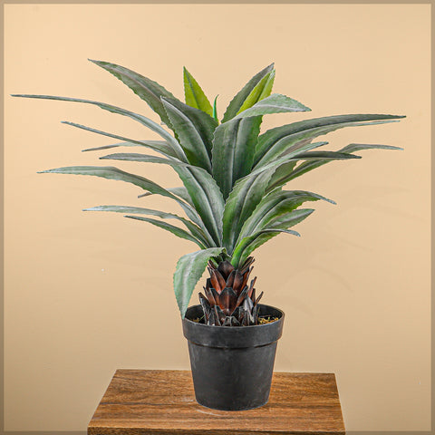 Artificial Yucca Plant 65cm High